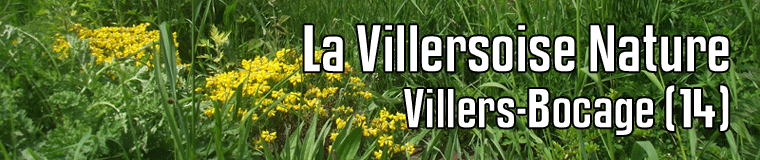 La Villersoise Nature, Villers Bocage (14), dimanche 27 août 2023