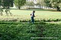 KMD_0001-444