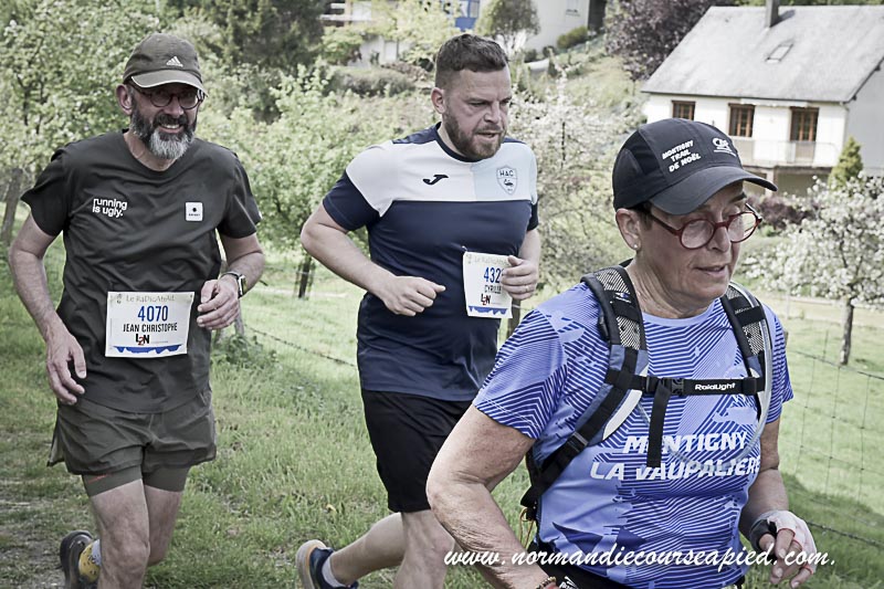 BCD887.jpg