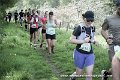 JMD_1441