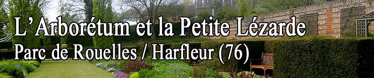 L'Arborétum, Harfleur - Parc de Rouelles, Dimanche 24 mars 2024