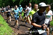 DSC 0138.jpg