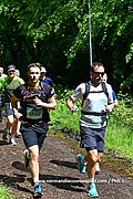 DSC 0231.jpg