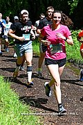 DSC 0239.jpg