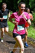 DSC 0241.jpg