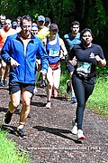 DSC 0294.jpg