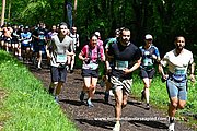 DSC 0354.jpg