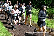 DSC 0410.jpg