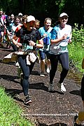 DSC 0530.jpg