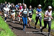 DSC 0537.jpg