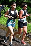 DSC 0571.jpg