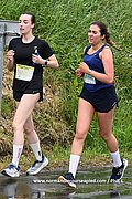 DSC 0345.jpg