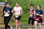 DSC 0496.jpg