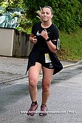 DSC 0812.jpg