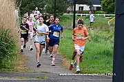 DSC 0006.jpg