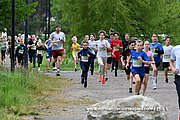 DSC 0185.jpg
