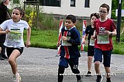 DSC 0220.jpg