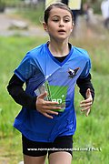 DSC 0253.jpg