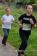 DSC 0331.jpg