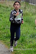 DSC 0335.jpg