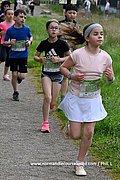 DSC 0345.jpg