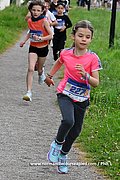 DSC 0408.jpg