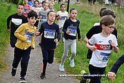 DSC 0442.jpg