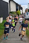 DSC 0503.jpg