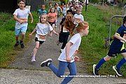 DSC 0506.jpg