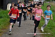DSC 0515.jpg