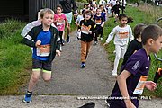 DSC 0517.jpg