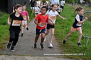 DSC 0527.jpg