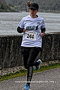 DSC 0708.jpg