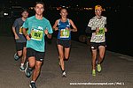 Dsc 0203.jpg