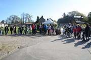 DSC_9917.jpg