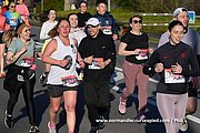 DSC 0082.jpg