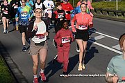 DSC 0085.jpg
