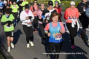 DSC 0100.jpg