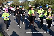 DSC 0133.jpg