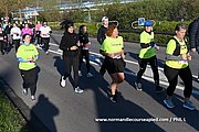 DSC 0134.jpg