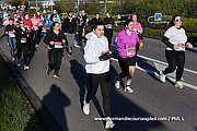 DSC 0137.jpg