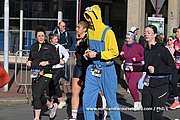 DSC 0490.jpg