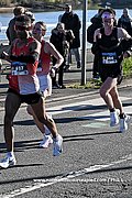 DSC 0781.jpg
