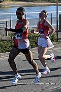 DSC 0782.jpg