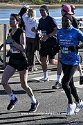 DSC 1238.jpg