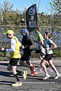 DSC 1270.jpg