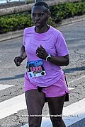 DSC 1333.jpg