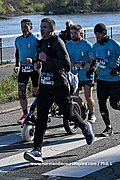 DSC 1703.jpg