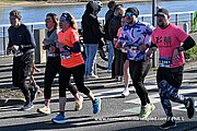 DSC 1798.jpg