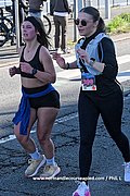 DSC 1826.jpg